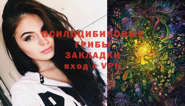 mdpv Верхний Тагил