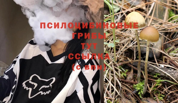 mdpv Верхний Тагил